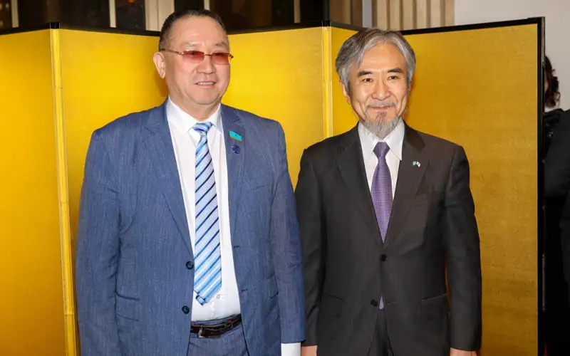 japon elshisi