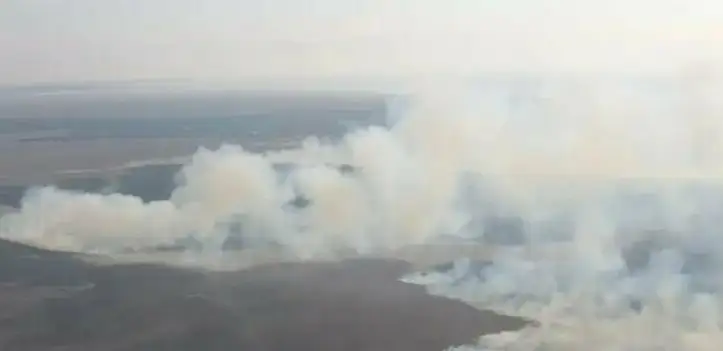 Почти сутки тушат камыш на побережье Каспия