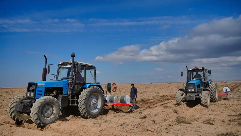 сельское хозяйство 