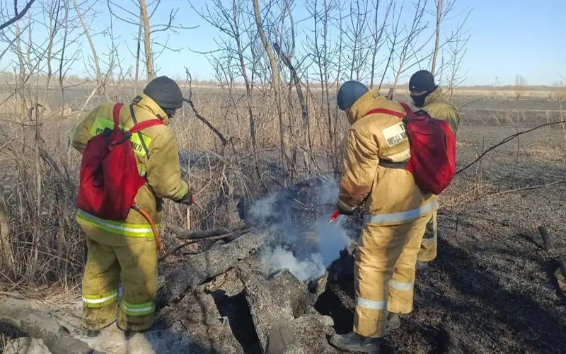 В Атырауской области на побережье Каспия горит тростник