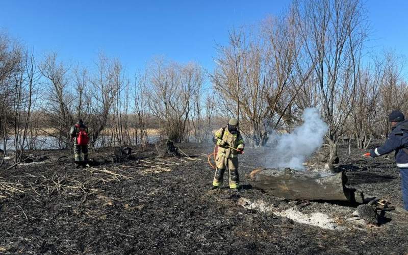 В Атырауской области на побережье Каспия горит тростник