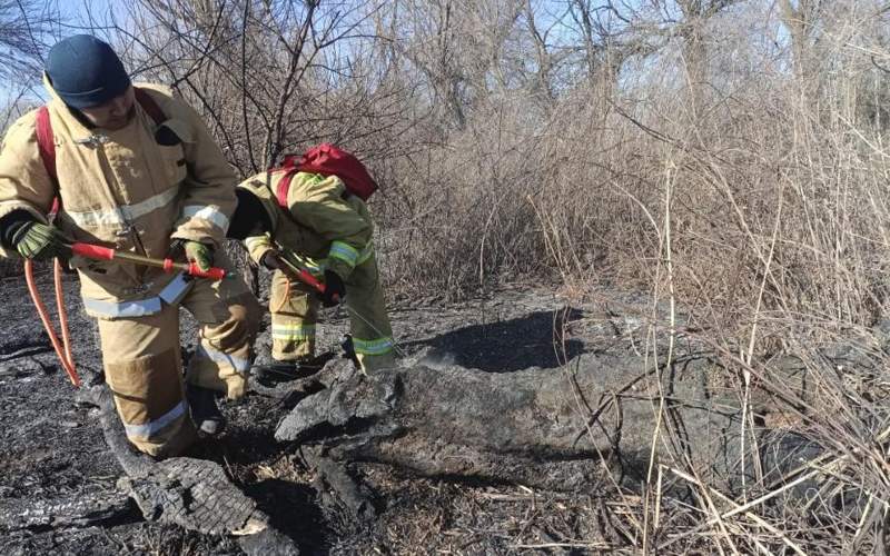 В Атырауской области на побережье Каспия горит тростник