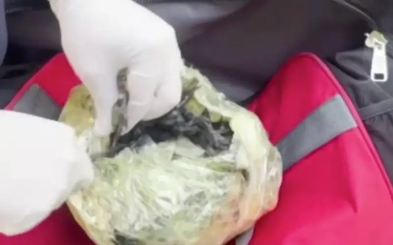 Мефедрон на 30 млн тенге обнаружили в такси в Шымкенте