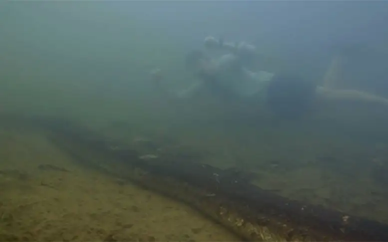 Самую большую в мире анаконду нашли в Амазонке