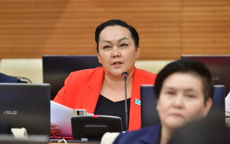 马吉利斯议员建议设立国家人口政策机构