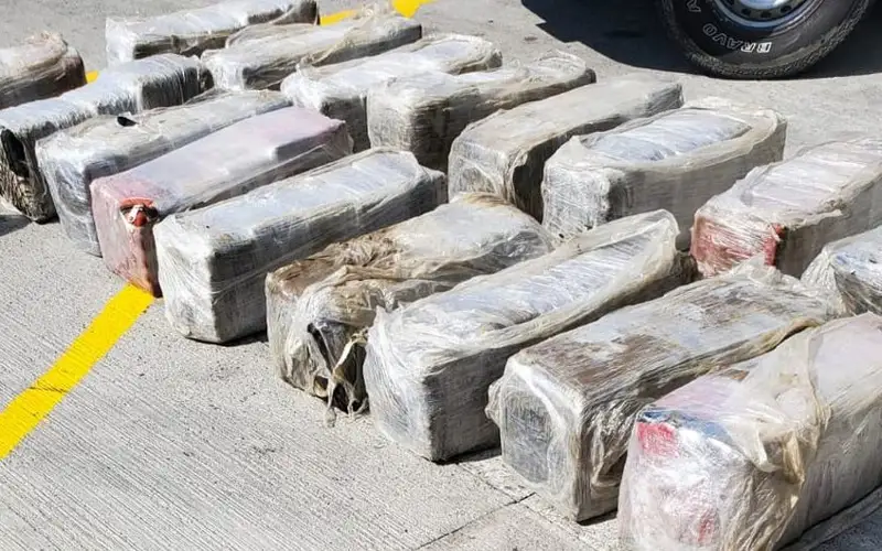 Соцсети могут стать платформой для борьбы с наркотрафиком в интернете