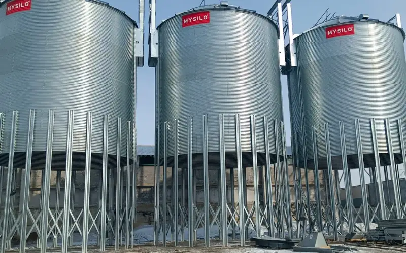 Завод глубокой переработки бобовых и зерновых культур строят в Кокшетау