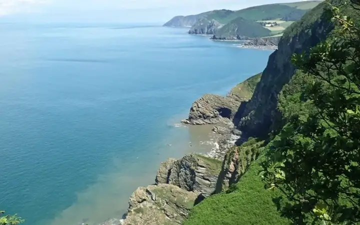 Древнейший в мире окаменелый лес нашли в Англии