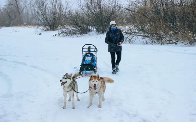 Наталья Зинченко/Kazinform