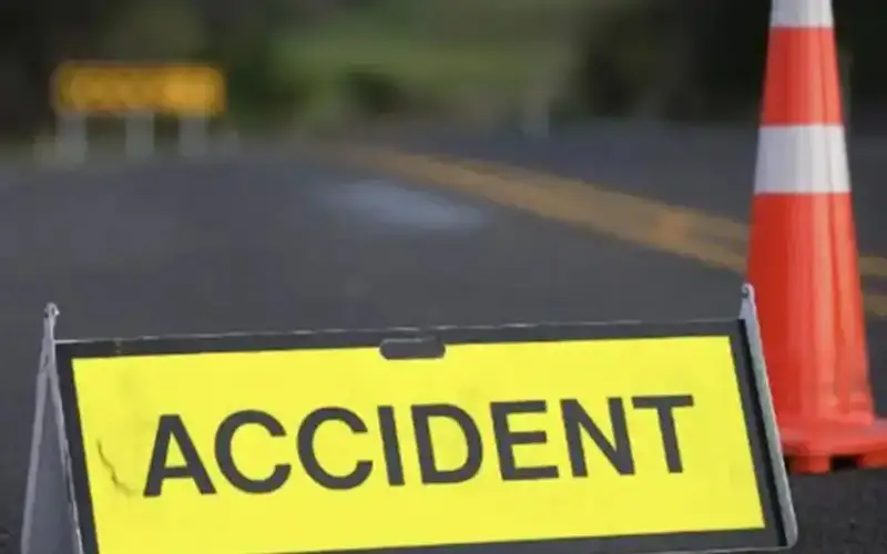 Road accident kills 31