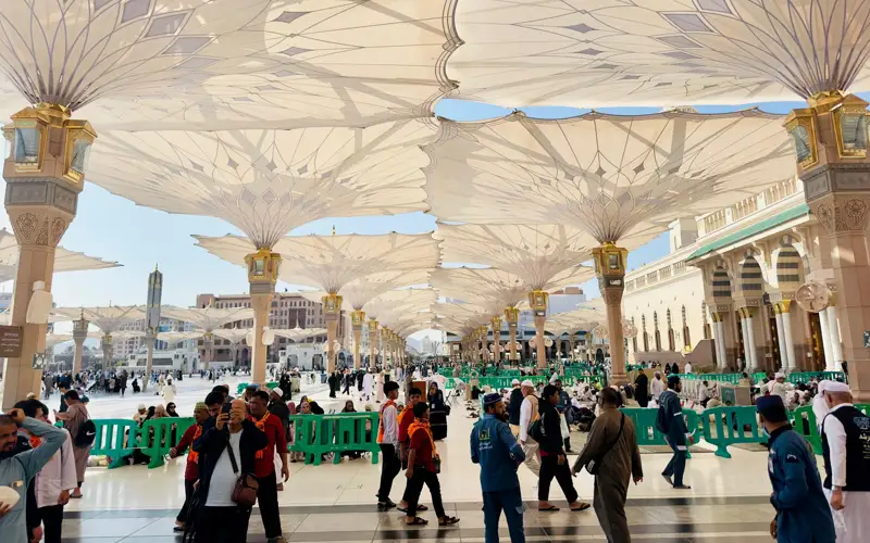 Әйелін есекке сиғызады