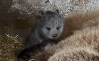 Алматы зообағы