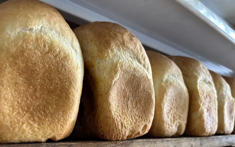 пекарня в костанае