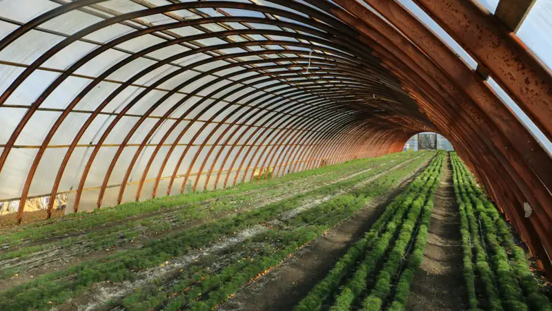 В Казахстане успешно создают генетический банк семян лесных пород