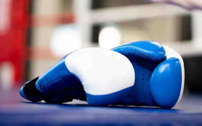 Стали известны позиции казахстанских боксеров в рейтинге WBO