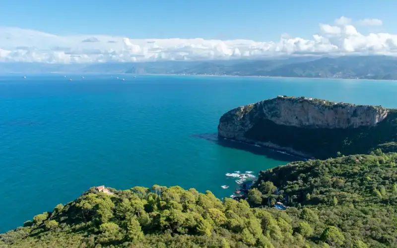 Канар ороллари