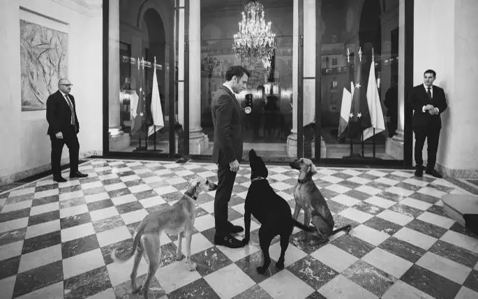 В сети появилось фото Макрона в Елисейском дворце с казахскими тазы