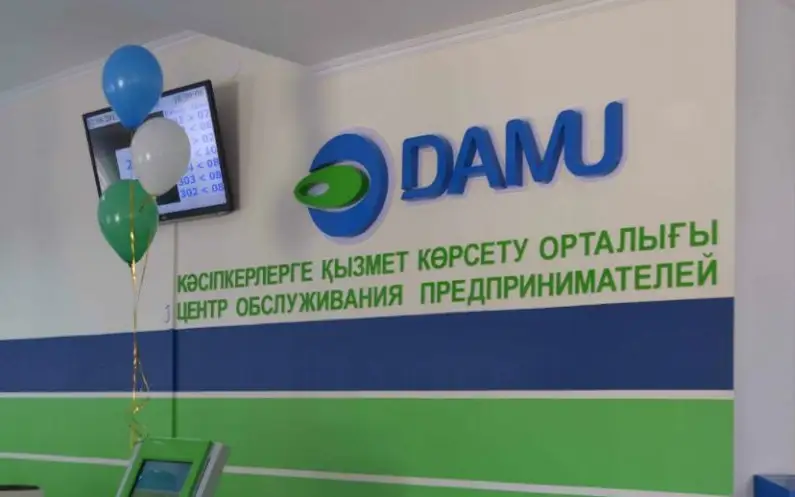 damý