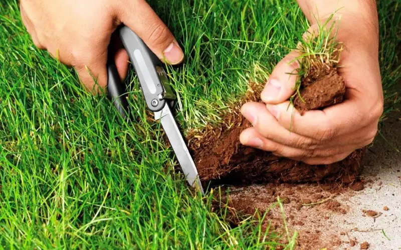 земельный участок 