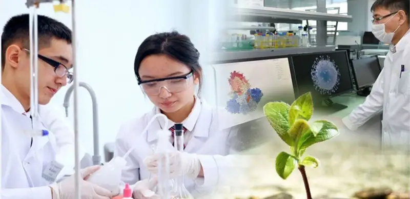 قازاق عىلىمى قايتسە ەڭسە تىكتەيدى؟