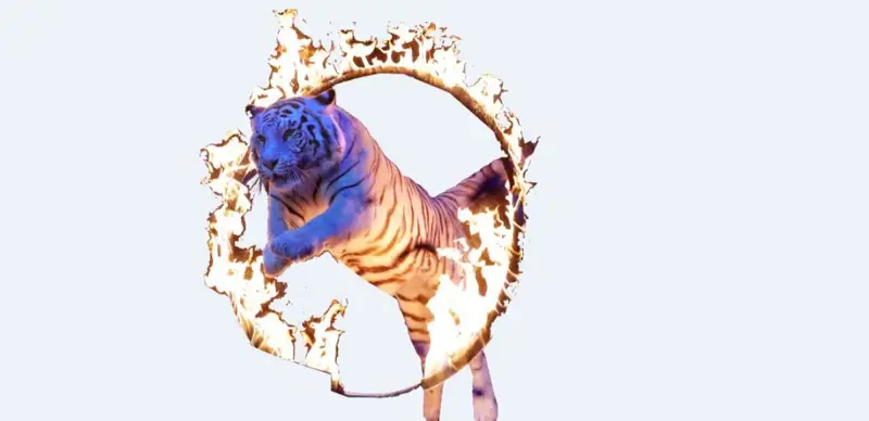 سيرك - تاۋەكەلشىلدەر مەكەنى