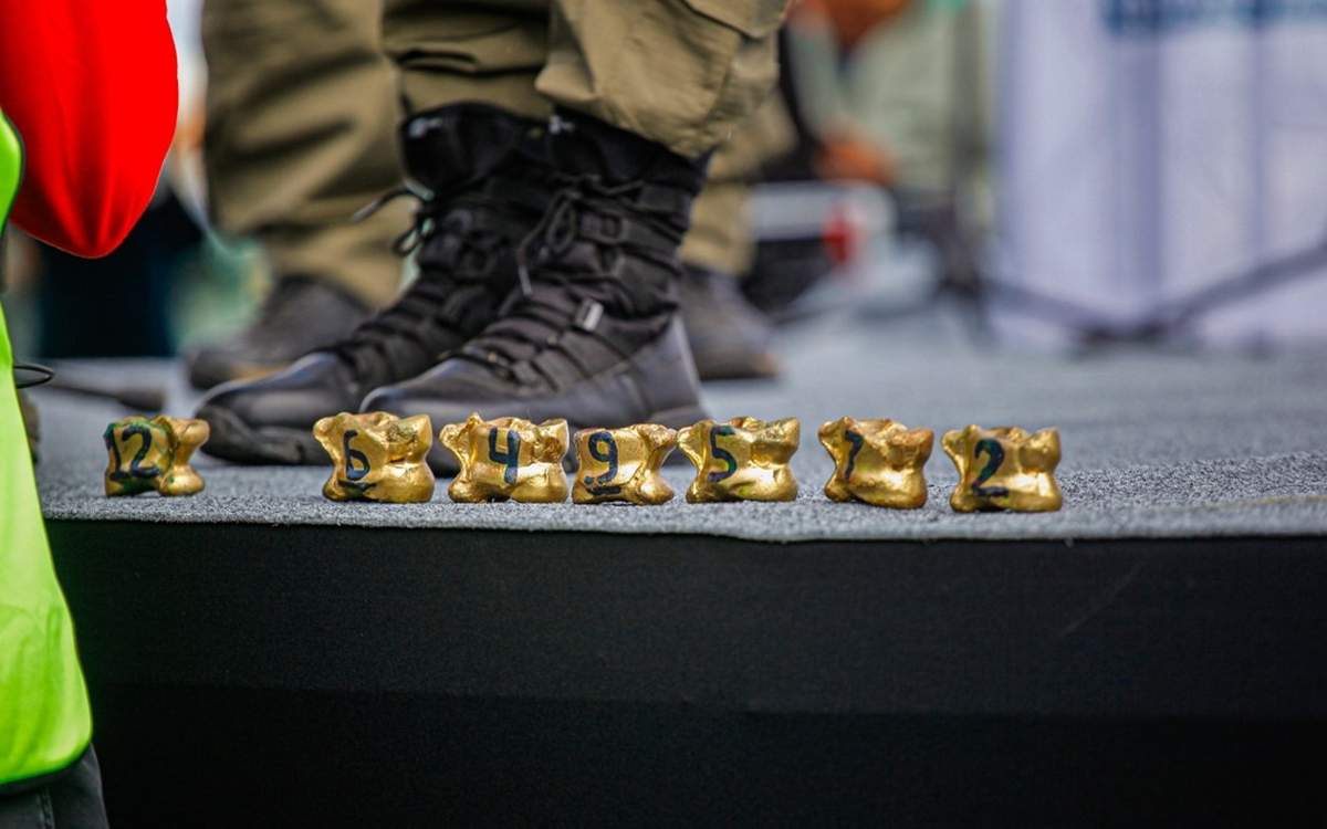 Үлкен асық азиатские сорады