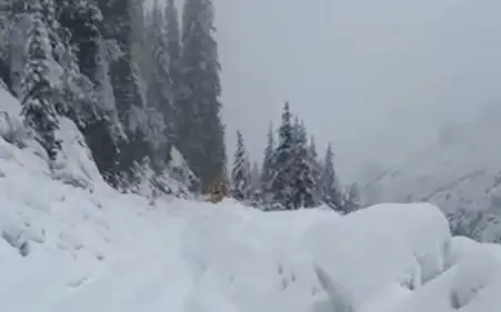 Лавина перекрыла дорогу в Алматинской области