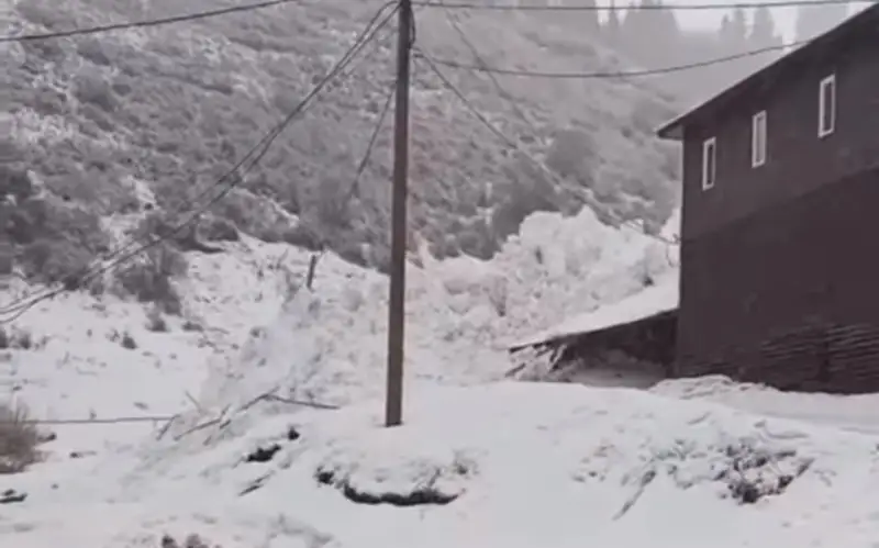 Лавина сошла близ горнолыжного курорта в Алматы