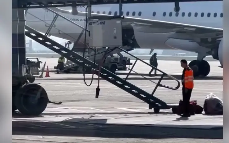 Аэропорт Алматы объяснил видео с небрежной разгрузкой «багажа»