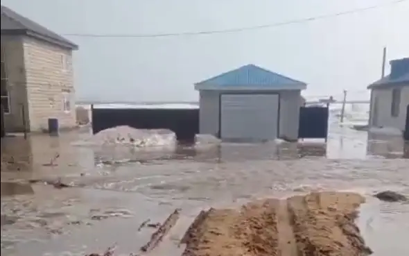 úıdi sý aldy