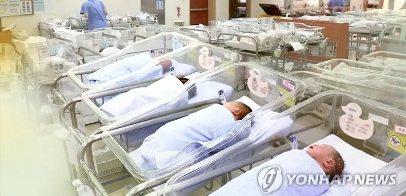韩国去年的新生儿人数同比减少7.7%
