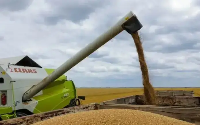 agriculture