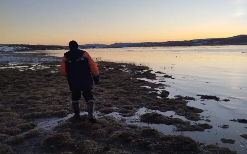 Талая вода затопила село в области Абай