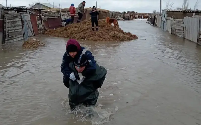 ауылды су алды