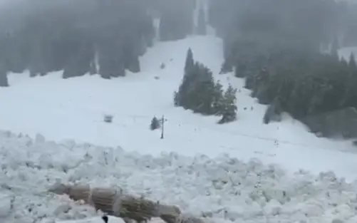Момент схода лавины в горах Алматы попал на видео