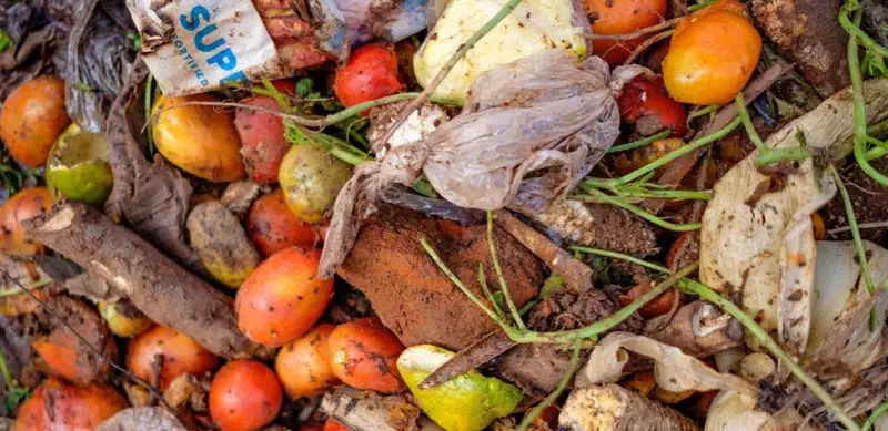 Пока 783 млн человек голодают, пятая часть производимого продовольствия выбрасывается