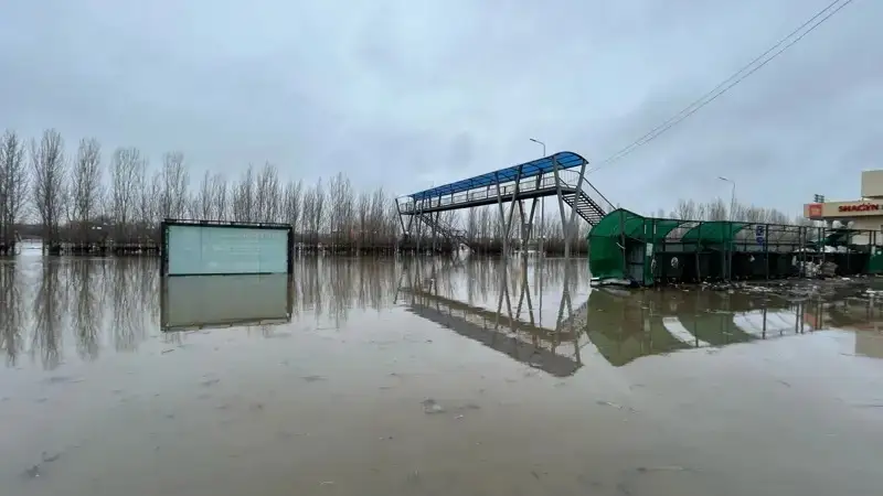 sý basý
