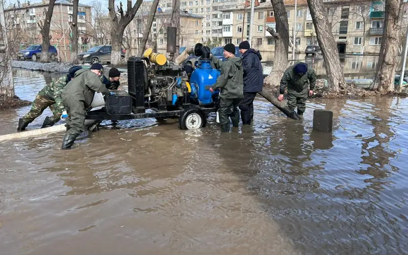 sý