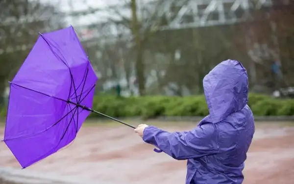 24 people injured after strong wind batters Bishkek and Chui region