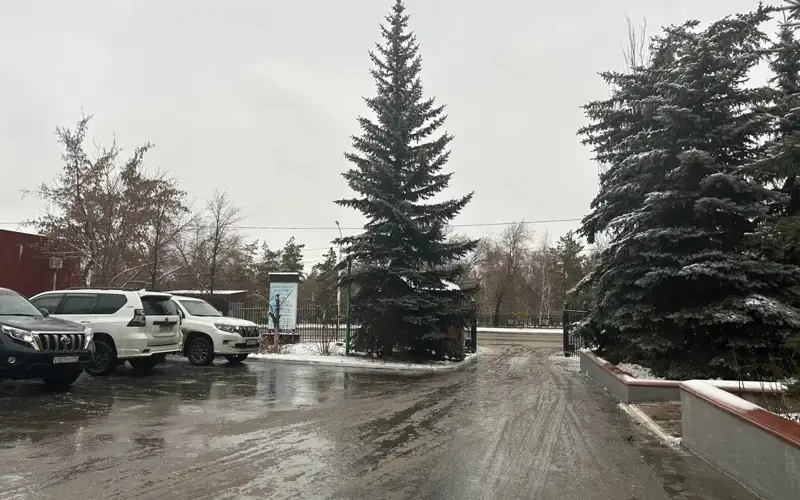 Weather