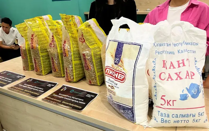 Гуманитарлық көмек