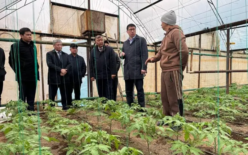 Кызылординским фермерам выделят 5 млрд тенге на крупные инвестпроекты