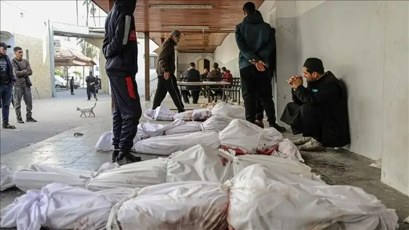 Gaza sektory