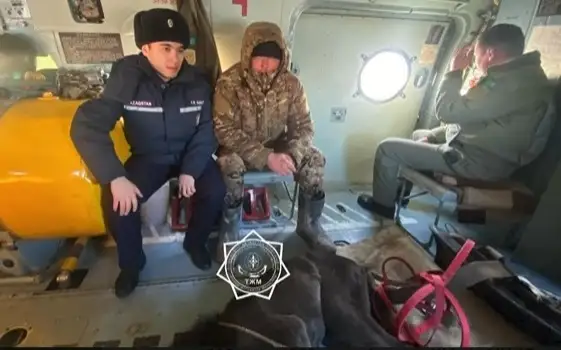 Двух пастухов спасли в области Абай