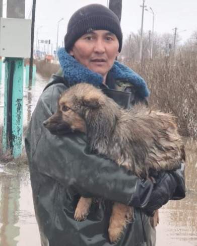 эвакуация эвакуация