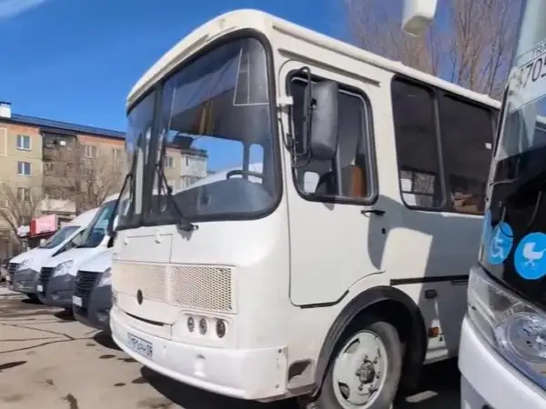 автобусы