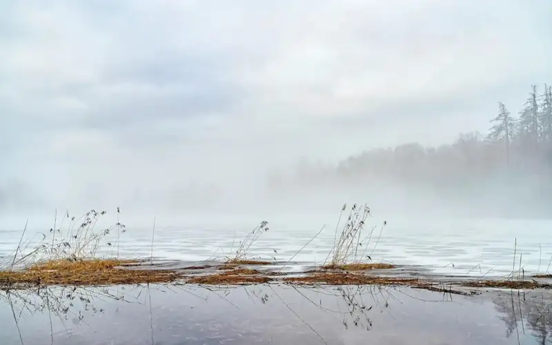 foggy morning