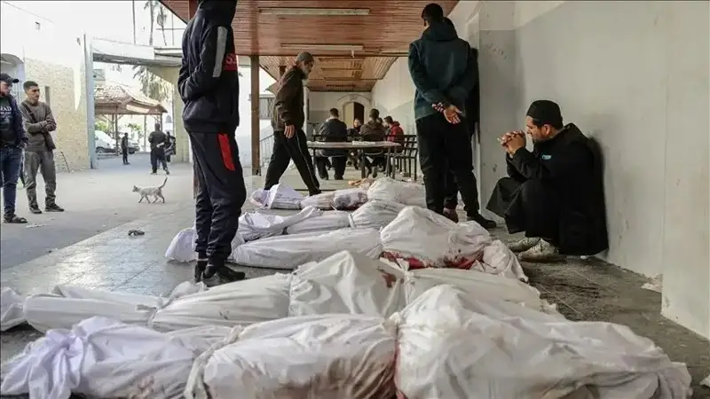 Ғазо сектори