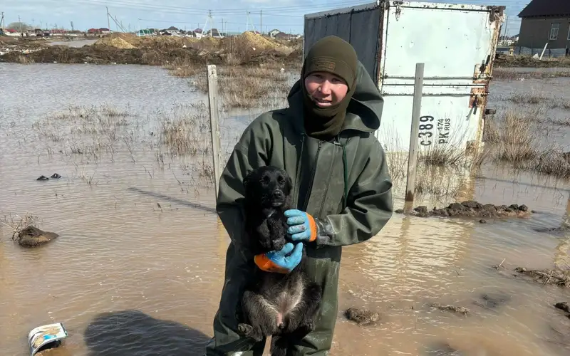пресс-службы ДЧС Акмолинской области