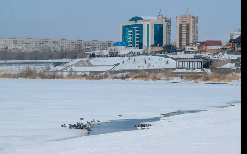 Наталья Зинченко/Kazinform